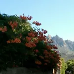 Always On Foot 3 Min To The Beach Center With Double Terrace * Tertenìa