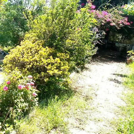 Apartmán Always On Foot 3 Min To The Beach Center With Double Terrace